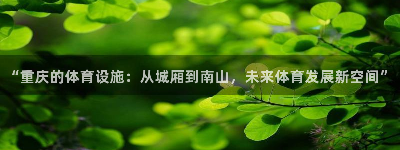 意昂4娱乐：“重庆的体育设施：从城厢到南山，未来体育