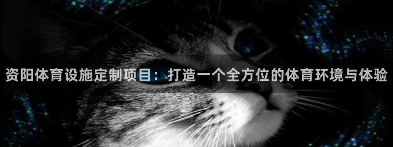 意昂体育4娱乐：资阳体育设施定制项目：打造一个全方位