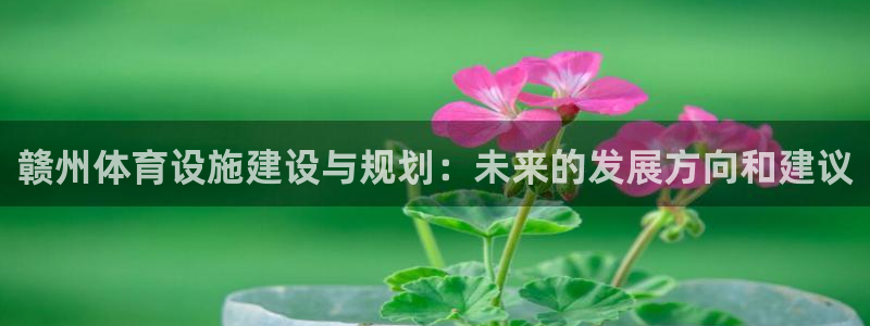 意昂体育4招商电话号码是多少啊：赣州体育设施建设与规划：未来