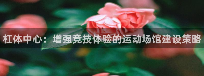 意昂4五金厂：杠体中心：增强竞技体验的运动场馆建设策