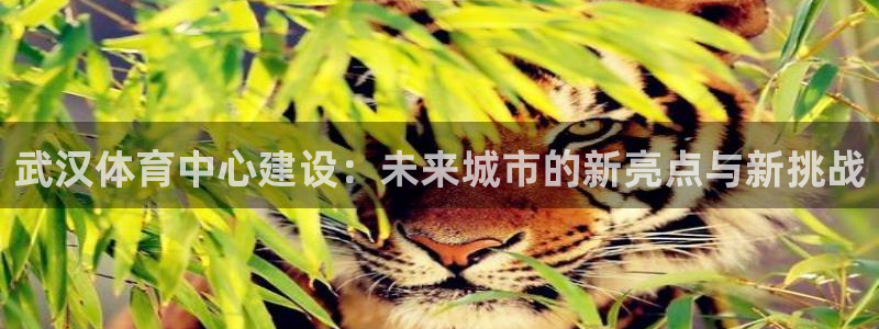 意昂4娱乐首页官网下载：武汉体育中心建设：未来城市的