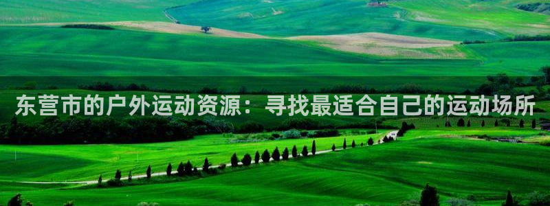 意昂体育4平台假的吗是真的吗：东营市的户外运动资源：寻找最适