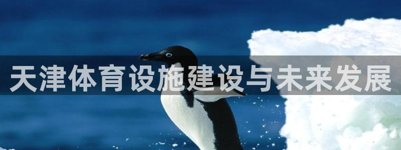 意昂体育4：天津体育设施建设与未来发展