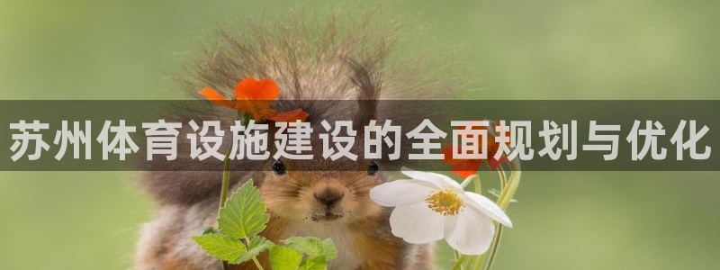 意昂4集团简介：苏州体育设施建设的全面规划与优化