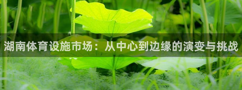 意昂体育4招商电话号码是多少号：湖南体育设施市场：从