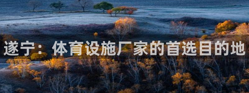 意昂体育4官方客服电话：遂宁：体育设施厂家的首选目的