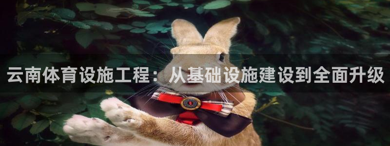 意昂体育4招商电话号码：云南体育设施工程：从基础设施