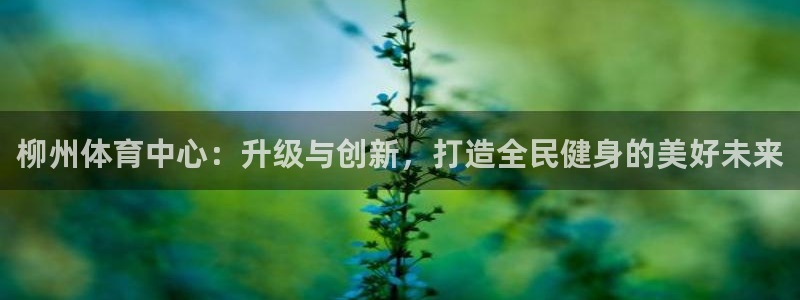 意昂4娱乐首页网站大全：柳州体育中心：升级与创新，打
