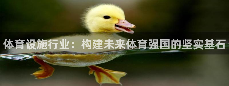 意昂4集团：体育设施行业：构建未来体育强国的坚实基石