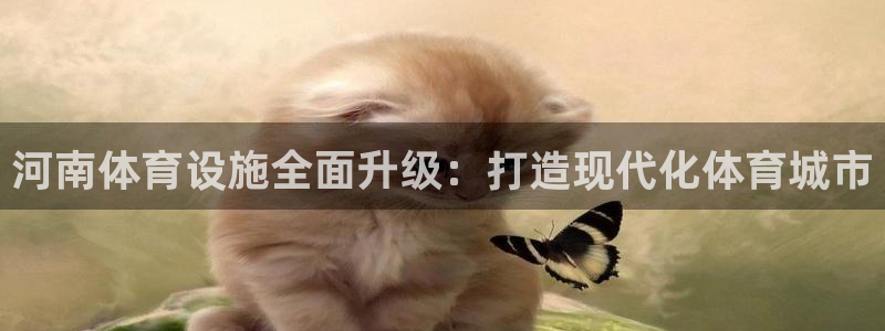 意昂体育4：河南体育设施全面升级：打造现代化体育城市