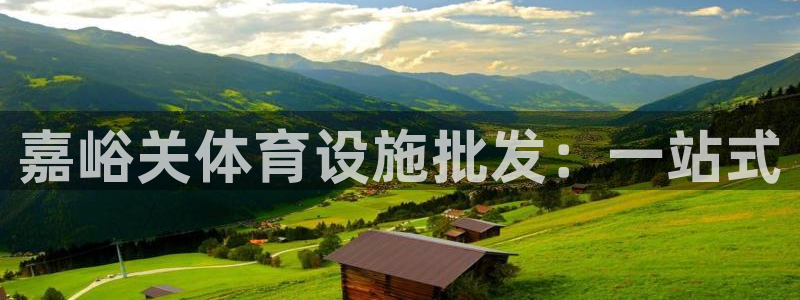 意昂4开户：嘉峪关体育设施批发：一站式