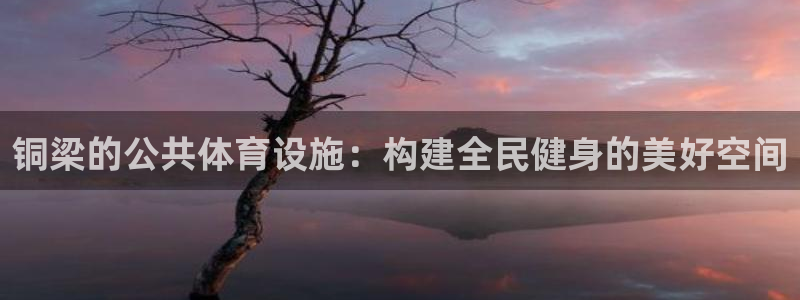 意昂体育4招商电话是多少啊：铜梁的公共体育设施：构建