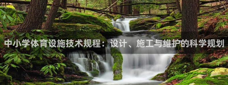 意昂体育4娱乐：中小学体育设施技术规程：设计、施工与