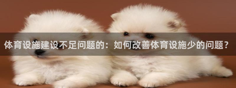 德国意昂4集团：体育设施建设不足问题的：如何改善体育