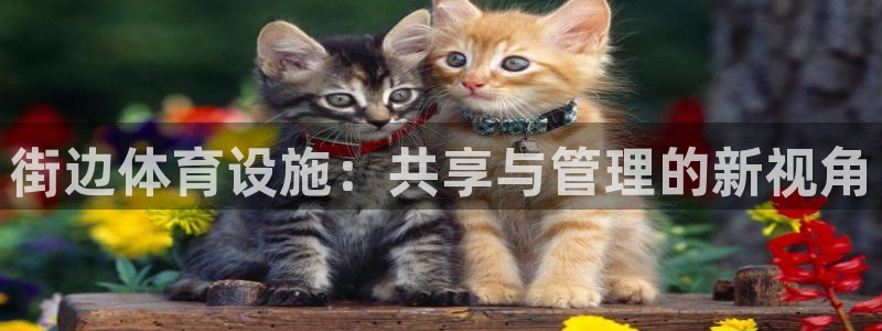 意昂体育4招商电话号码是多少啊：街边体育设施：共享与