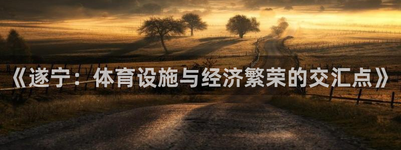 意昂4集团官网首页：《遂宁：体育设施与经济繁荣的交汇