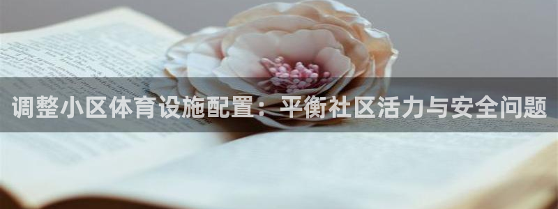 意昂体育4招商：调整小区体育设施配置：平衡社区活力与