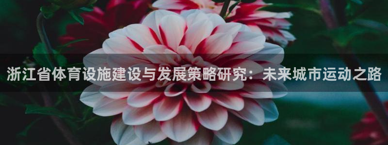 意昂4娱乐首页官网下载：浙江省体育设施建设与发展策略研究：未