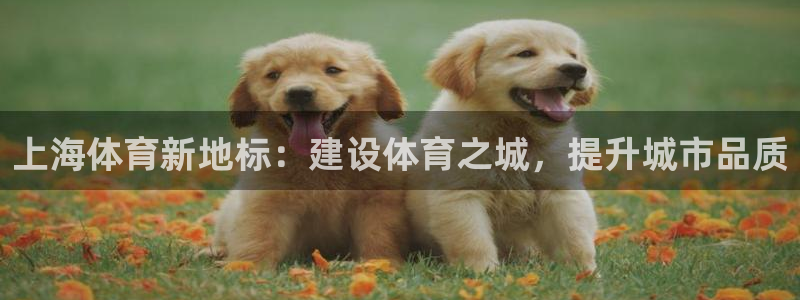 意昂体育4平台是正规平台吗：上海体育新地标：建设体育之城，提
