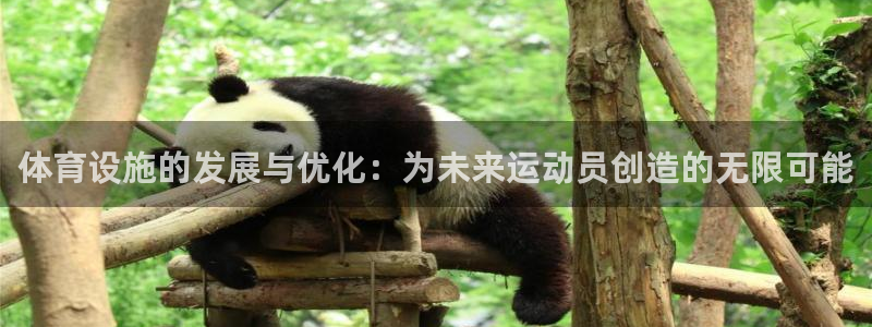 意昂体育4平台注册要钱吗安全吗：体育设施的发展与优化：为未来