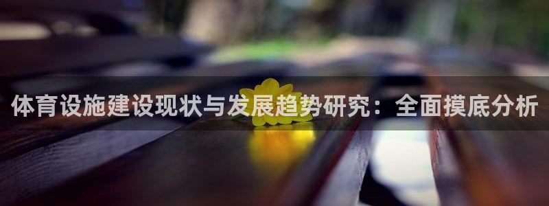 意昂体育4招商电话是多少啊：体育设施建设现状与发展趋势研究： 