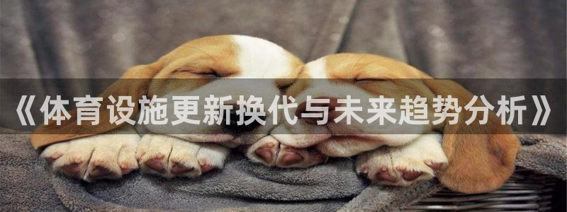 意昂体育4招商电话号码：《体育设施更新换代与未来趋势分析》 