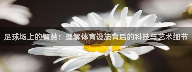 意昂体育4招商电话：足球场上的智慧：理解体育设施背后的科技与