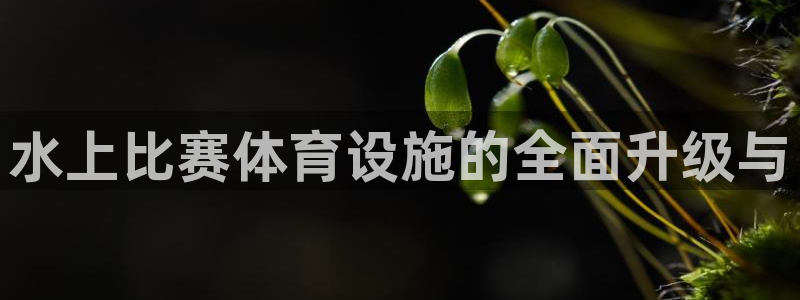 意昂4娱乐代理怎么样：水上比赛体育设施的全面升级与 