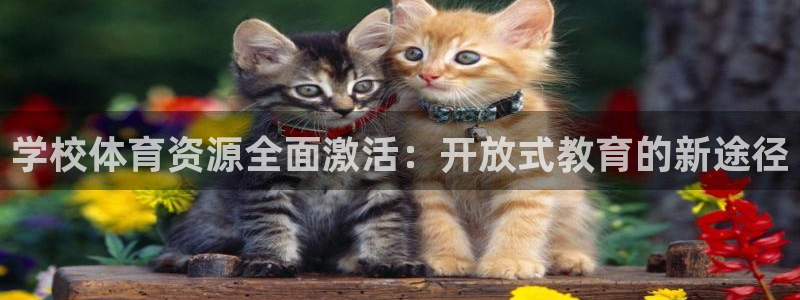 海南意昂体育4：学校体育资源全面激活：开放式教育的新途径