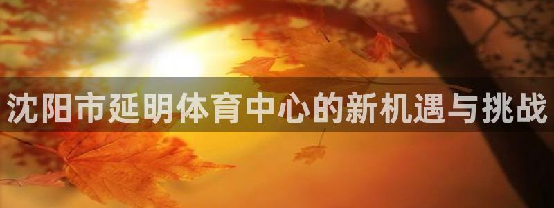 意昂集团官网：沈阳市延明体育中心的新机遇与挑战