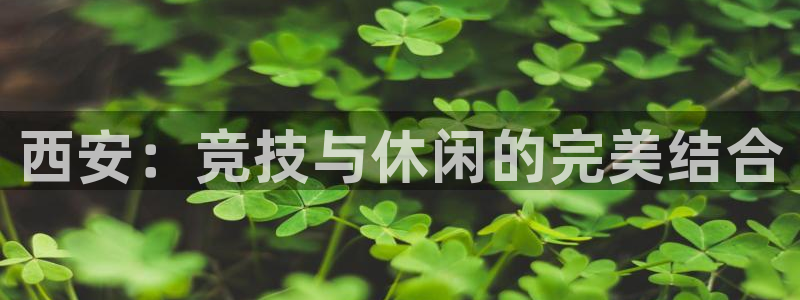 意昂体育4招商电话是多少啊：西安：竞技与休闲的完美结合