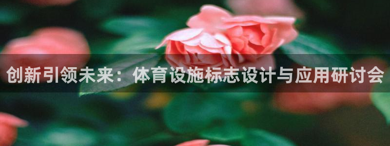 意昂体育4招商电话是多少号码：创新引领未来：体育设施标志设计 
