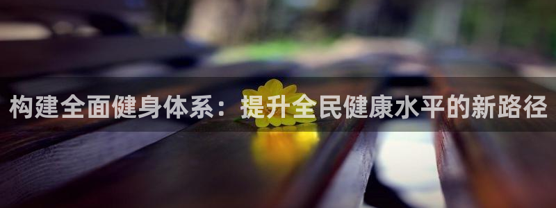 意昂4娱乐网站：构建全面健身体系：提升全民健康水平的新路径