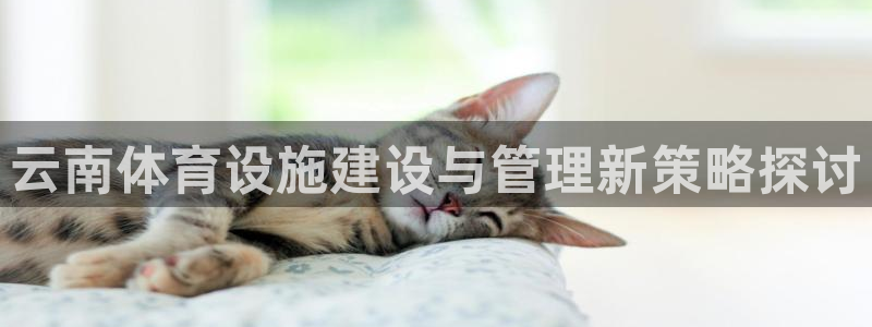 德国意昂4集团：云南体育设施建设与管理新策略探讨