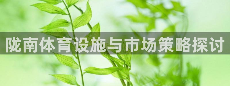 意昂4娱乐是那个系列的台子：陇南体育设施与市场策略探讨